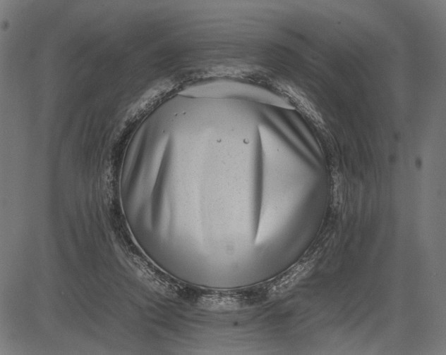 X0000082700354200702091728