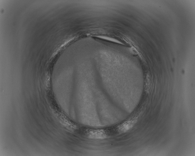 X0000082700355200702091728