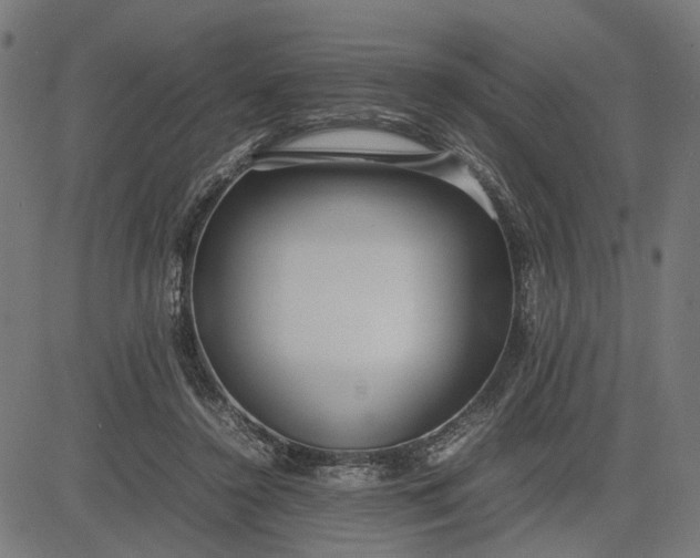 X0000082700356200702091728