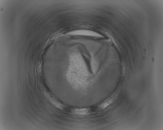 X0000082700357200702091728