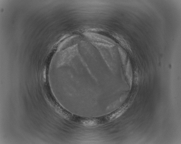 X0000082700358200702091728