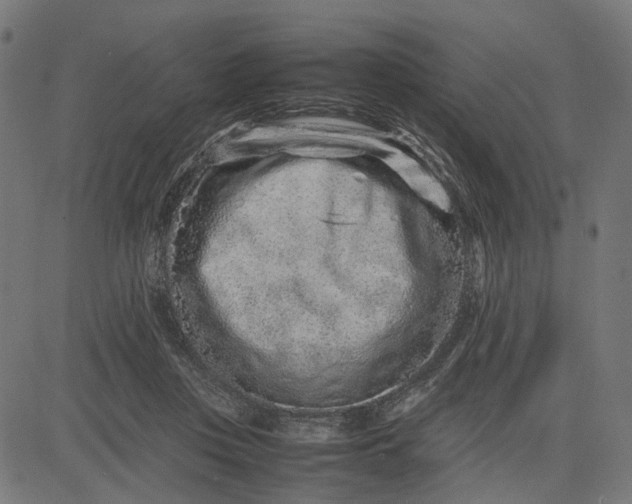 X0000082700359200702091728