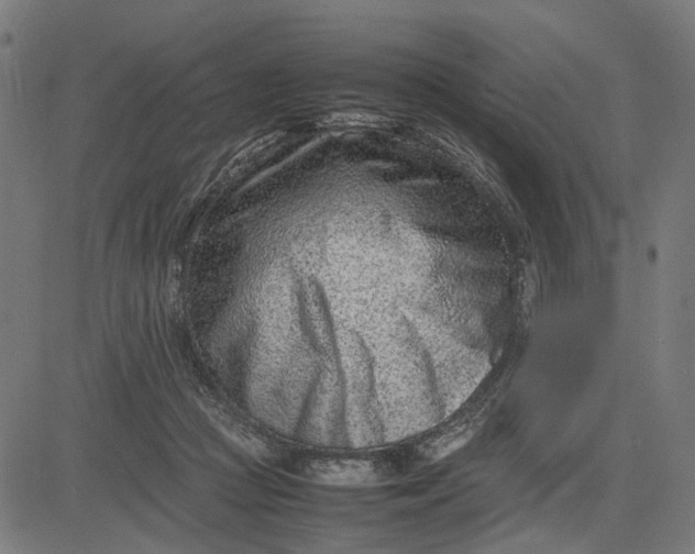 X0000082700361200702091728