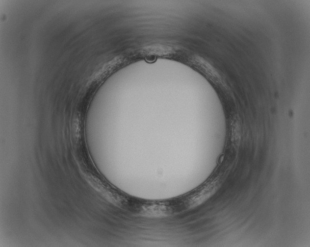 X0000082700362200702091728