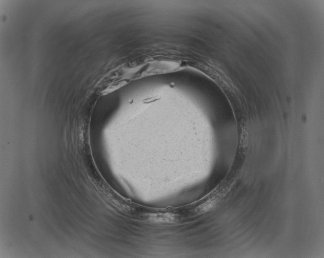 X0000082700363200702091728