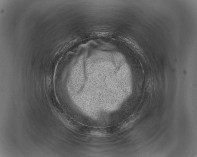 X0000082700365200702091728