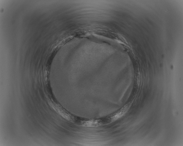 X0000082700366200702091728