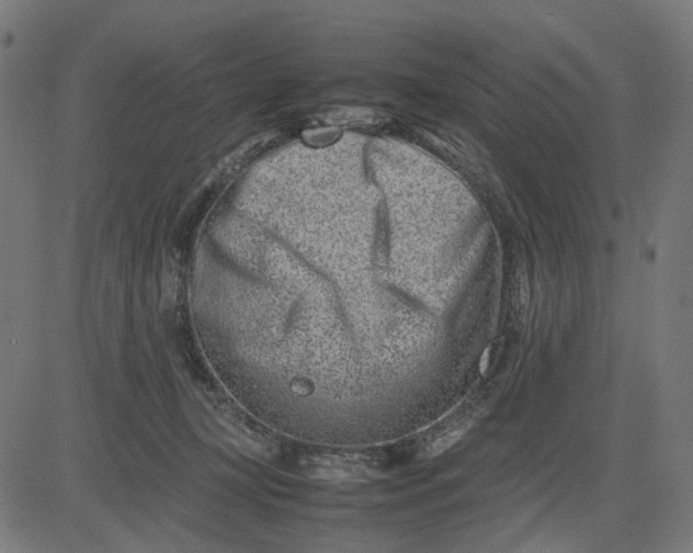 X0000082700367200702091728