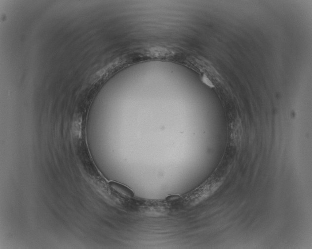 X0000082700368200702091728