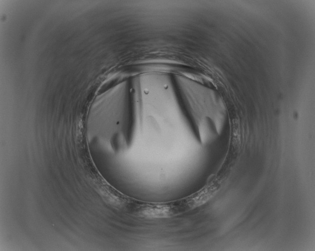 X0000082700369200702091728