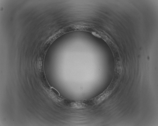 X0000082700372200702091728