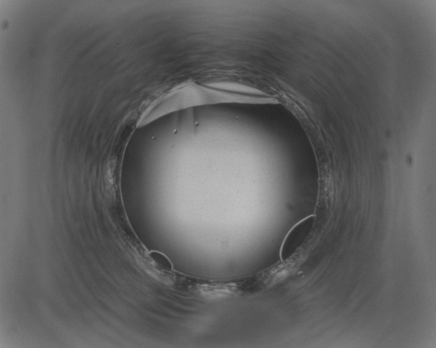 X0000082700373200702091728