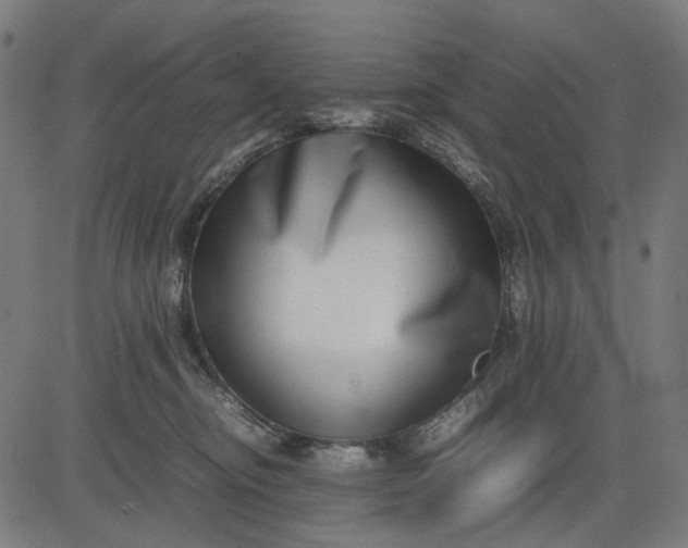 X0000082700374200702091728