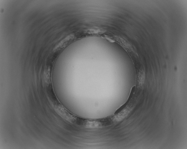 X0000082700376200702091728