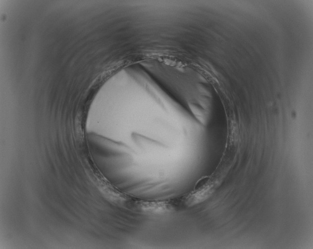 X0000082700377200702091728