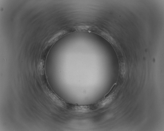 X0000082700378200702091728