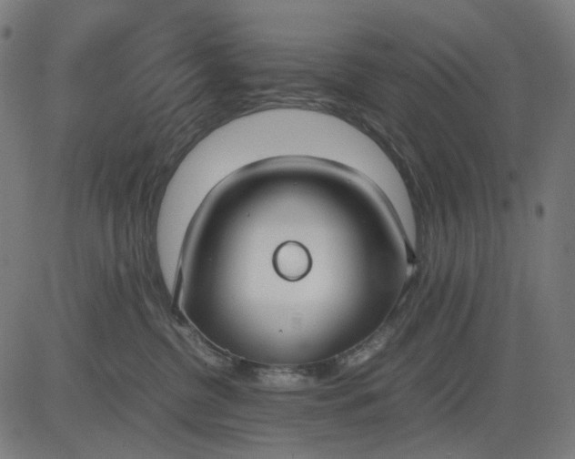 X0000082700380200702091728