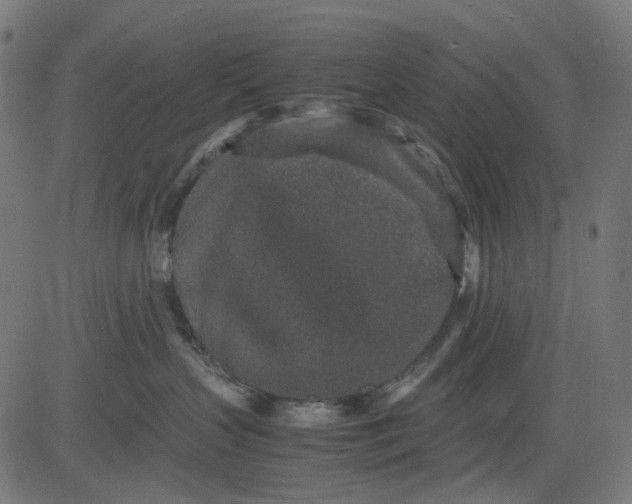 X0000082700383200702091729