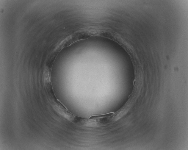 X0000082700384200702091729