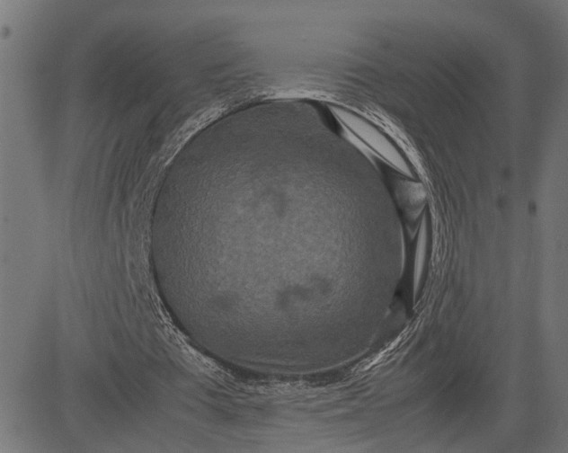 X0000082700385200702091728