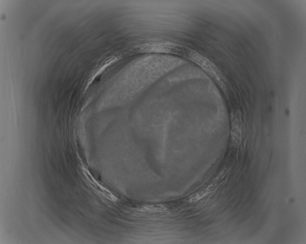 X0000082700386200702091728