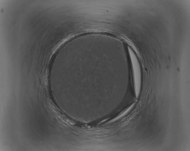 X0000082700387200702091728