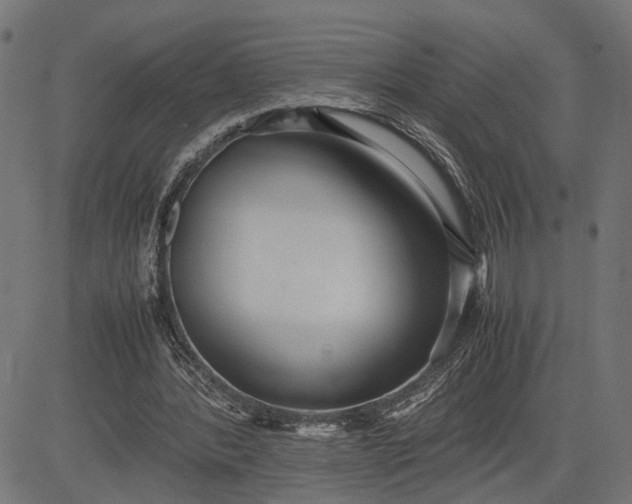 X0000082700388200702091728