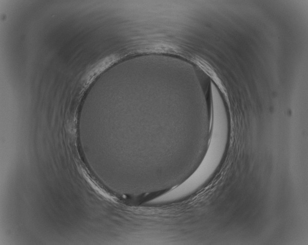 X0000082700389200702091728