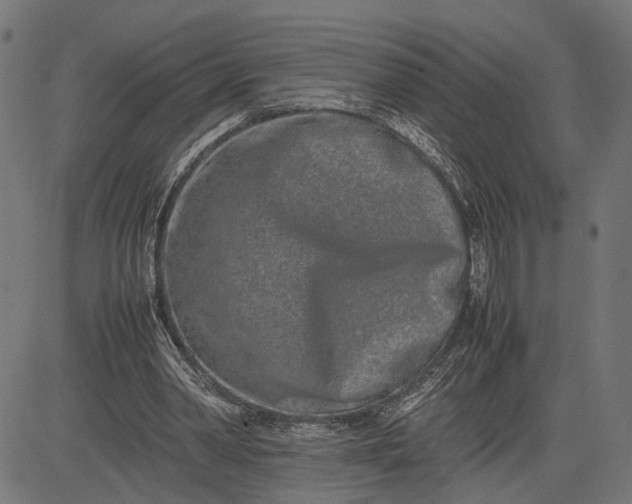 X0000082700390200702091728