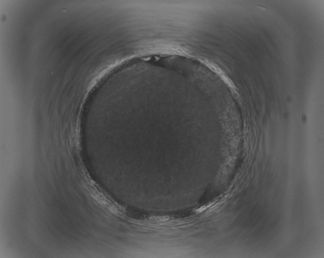 X0000082700391200702091728