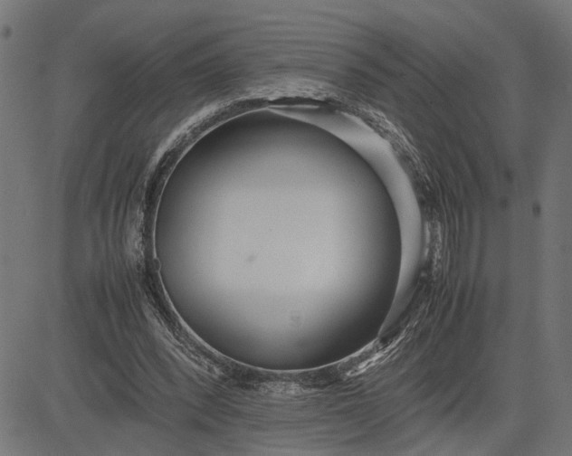 X0000082700392200702091728