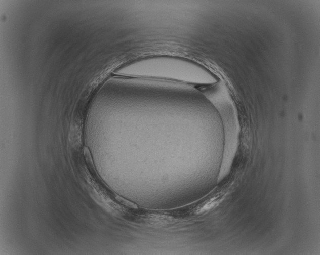 X0000082700393200702091728