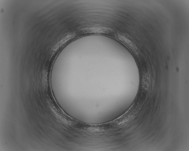 X0000082700394200702091728