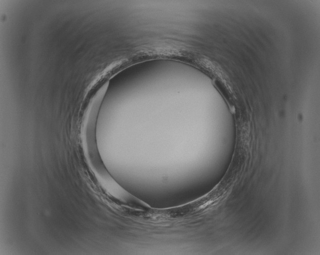 X0000082700395200702091728