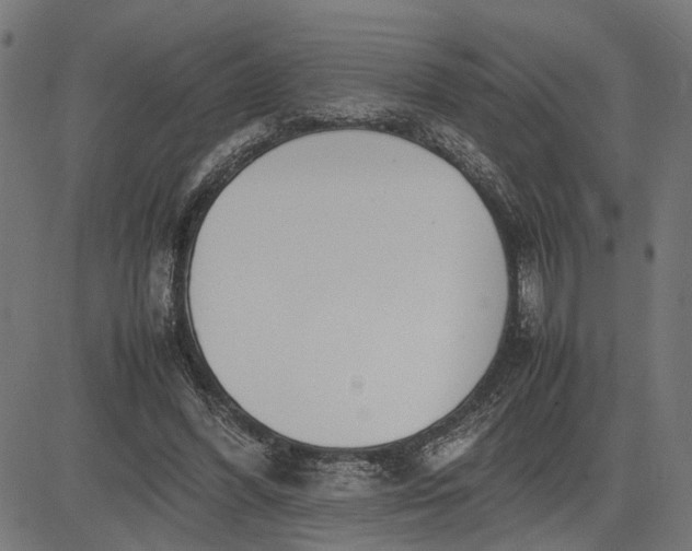 X0000082700396200702091728