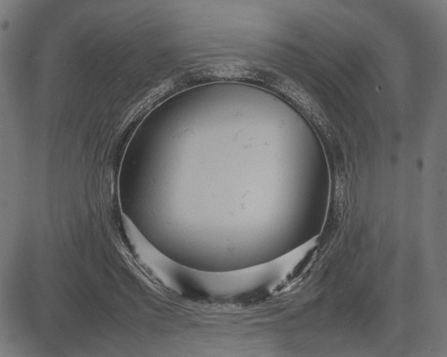 X0000082700397200702091728