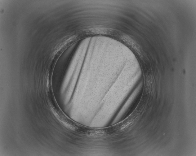 X0000082700398200702091728