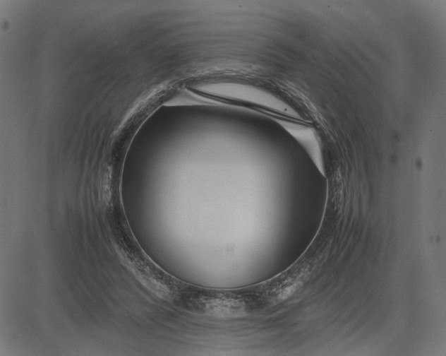 X0000082700400200702091728