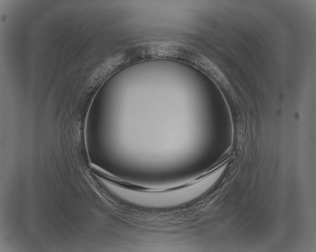 X0000082700401200702091727