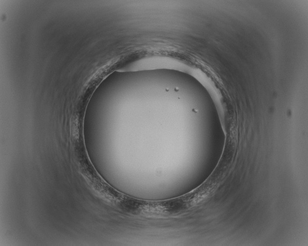 X0000082700403200702091727