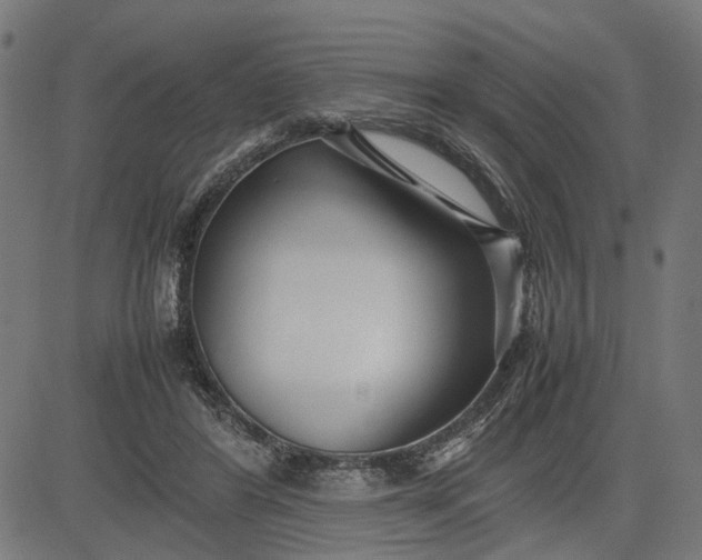 X0000082700404200702091727