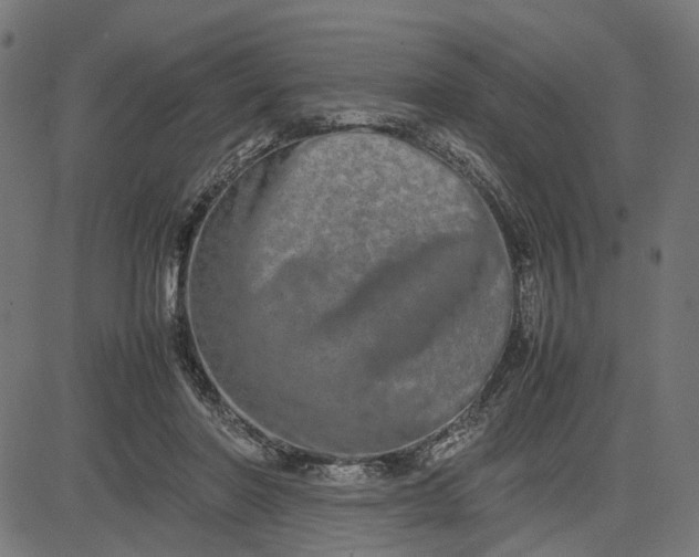 X0000082700406200702091727