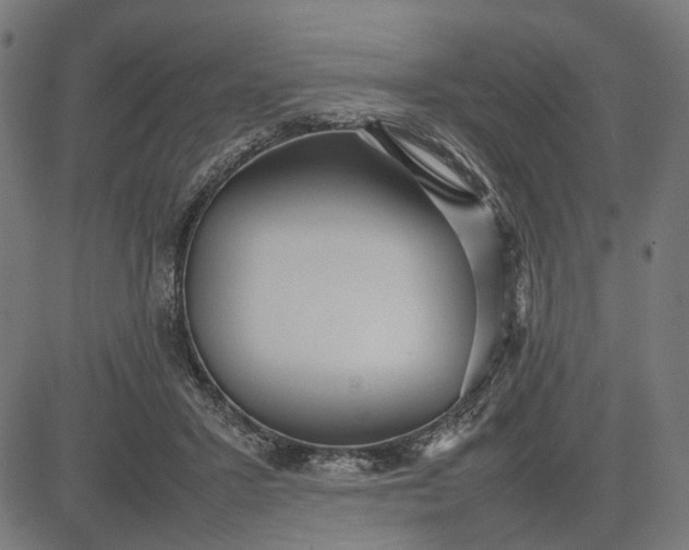 X0000082700407200702091727