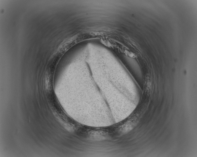 X0000082700408200702091727