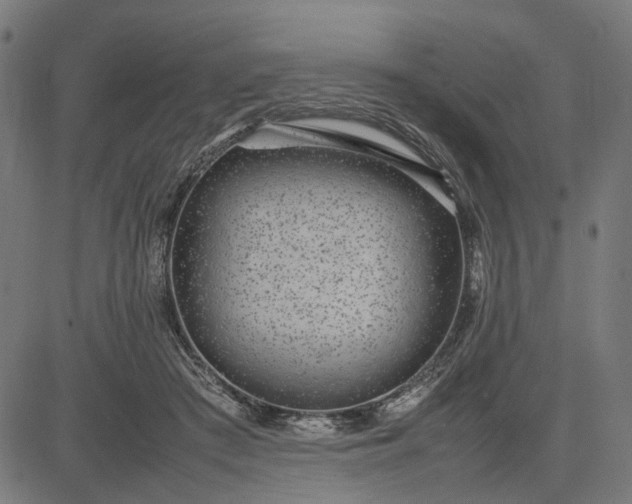 X0000082700409200702091727