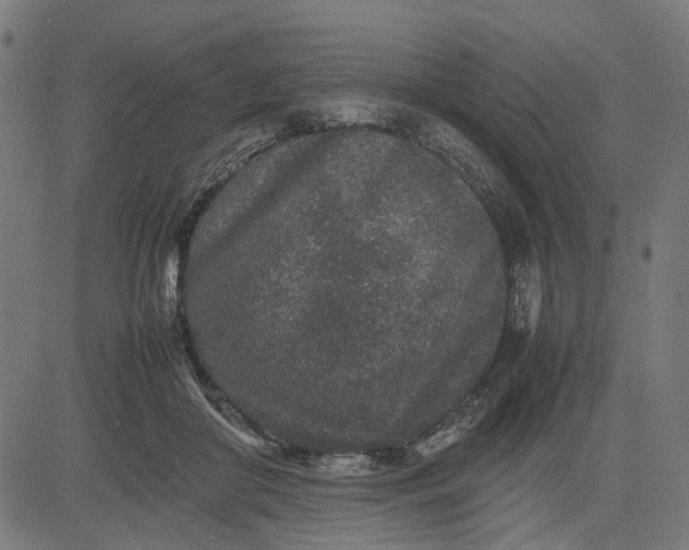 X0000082700410200702091727