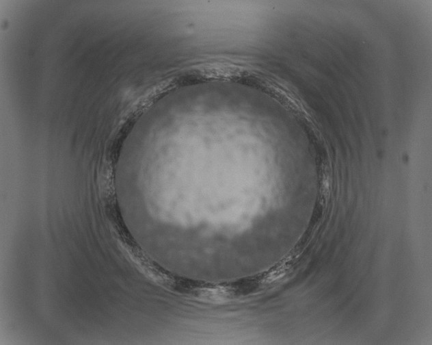 X0000082700411200702091727