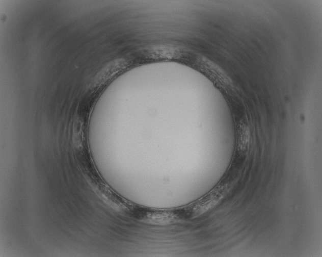 X0000082700414200702091727