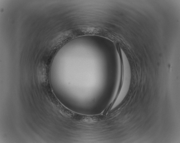 X0000082700416200702091727