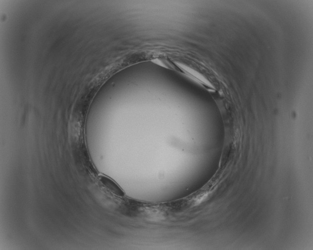 X0000082700417200702091727